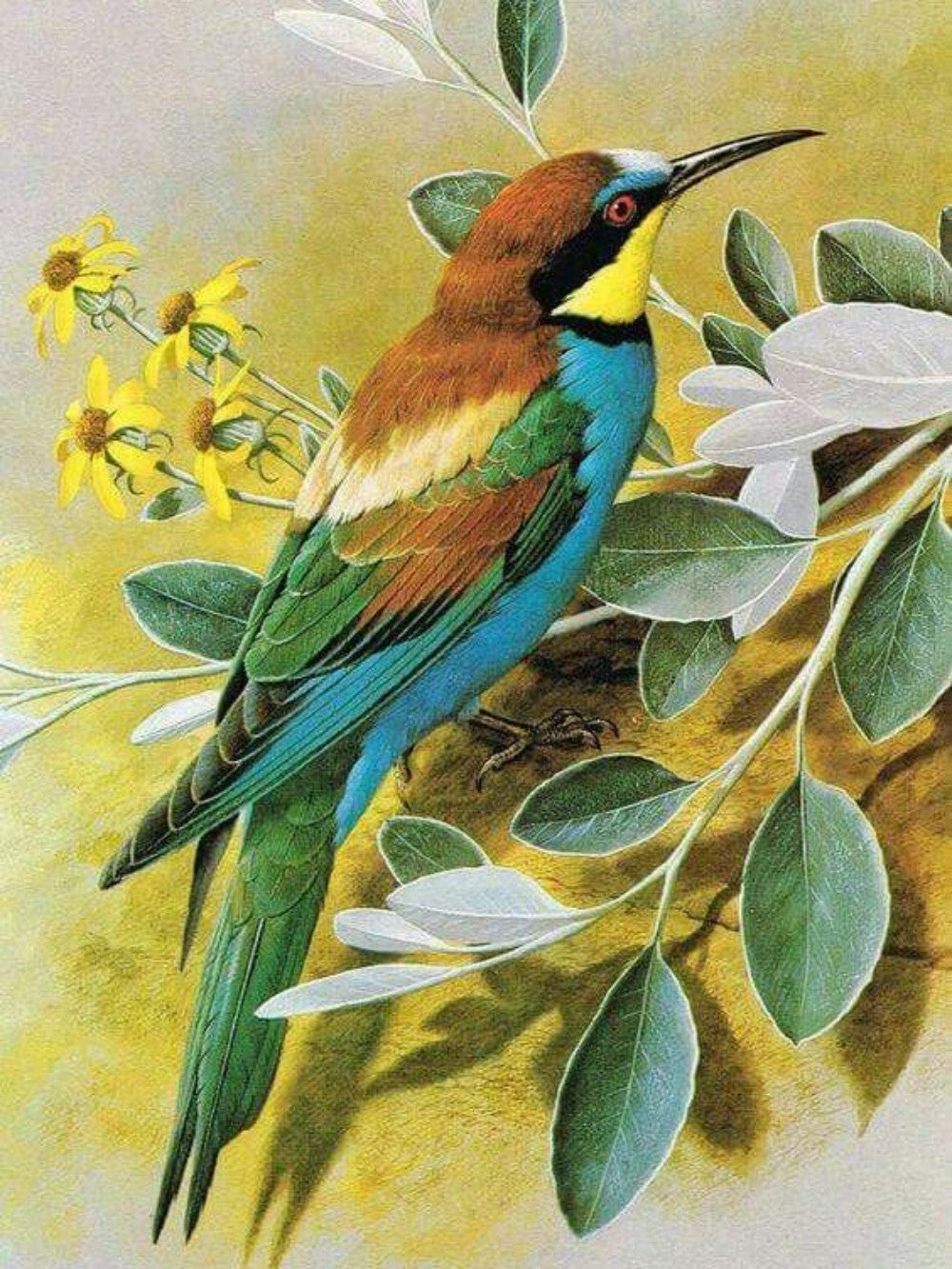 Kingfisher | Diamond Painting