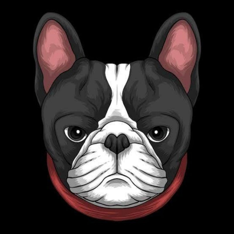 French Bulldog Dog | Diamond Painting