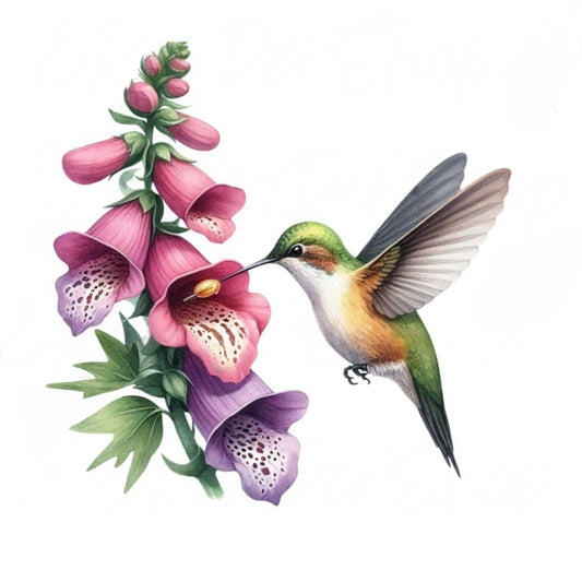 Hummingbird | Diamond Painting