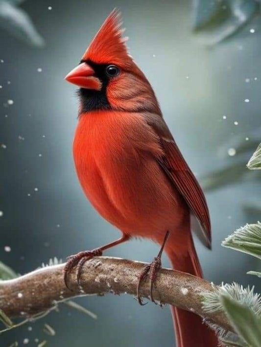 Cardinal | Diamond Painting