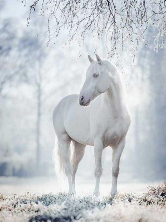 Horse | Diamond Painting
