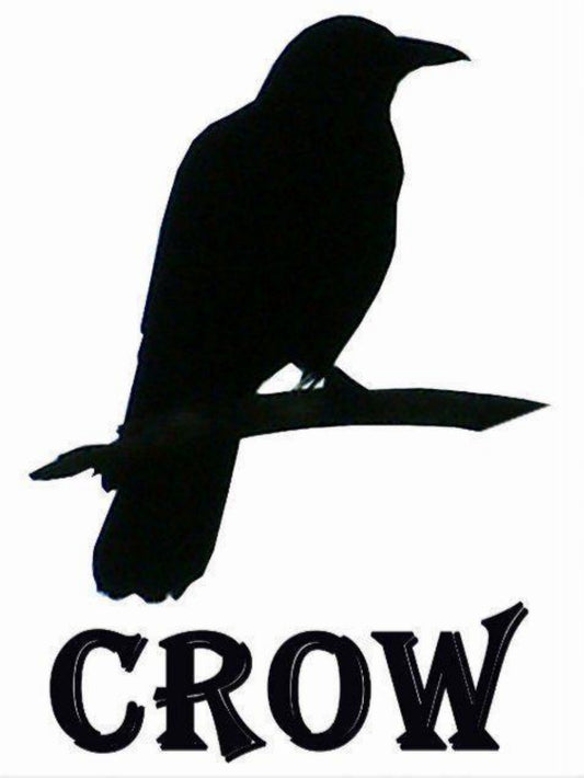 Crow | Diamond Painting