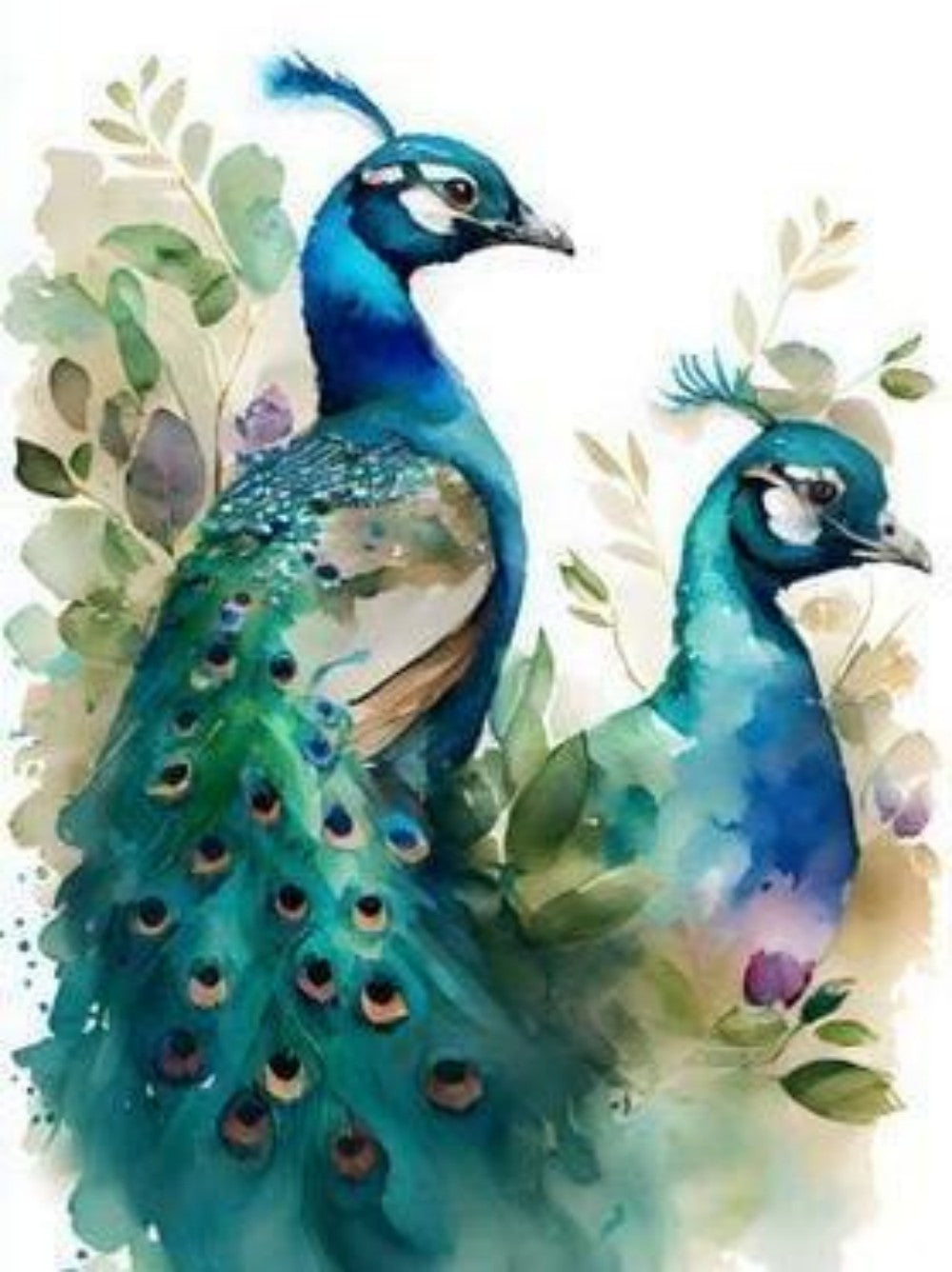 Peacock | Diamond Painting