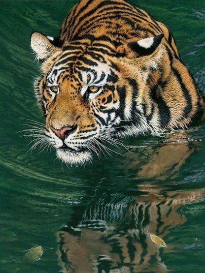 Bengal Tiger | Diamond Painting