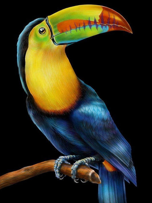 Toucan Bird | Diamond Painting