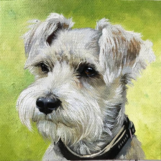 Dog Schnauzer | Diamond Painting