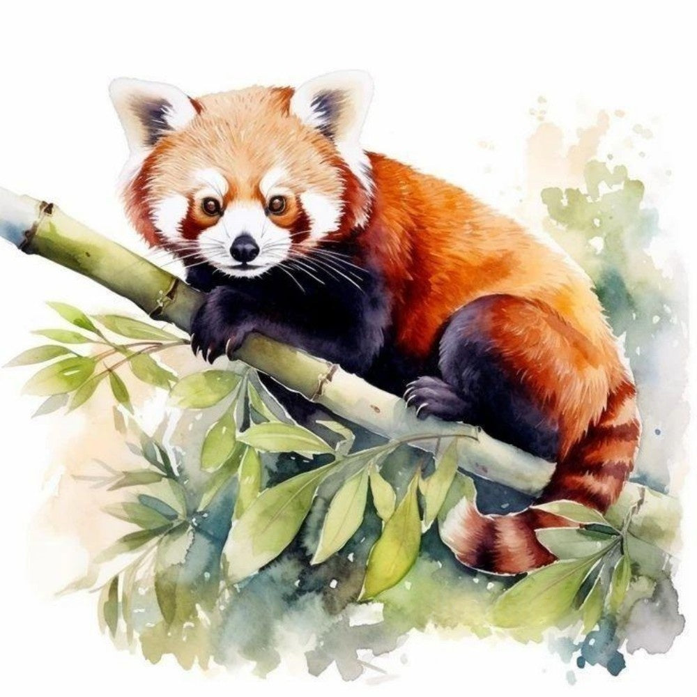 Red Panda | Diamond Painting