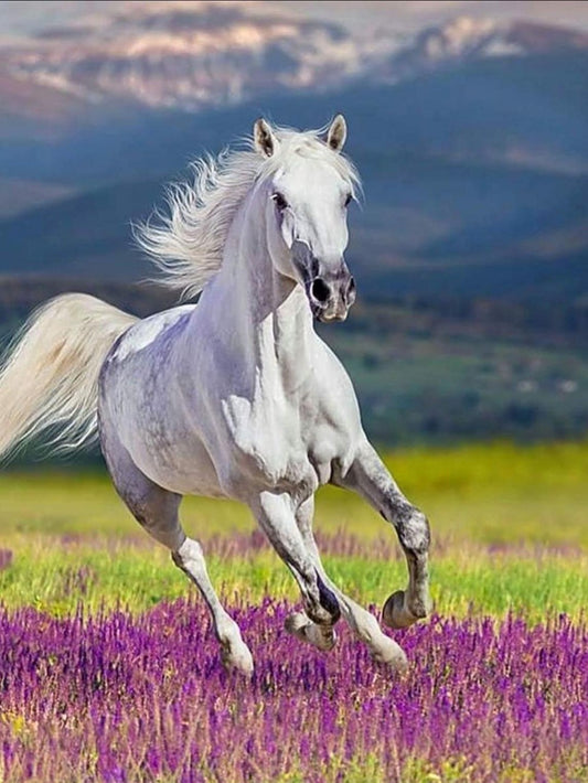 Horse | Diamond Painting
