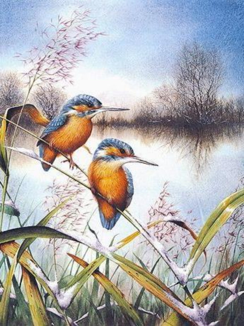 Kingfisher | Diamond Painting