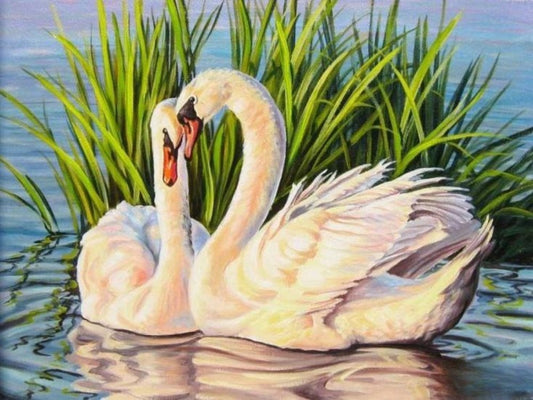 Swan | Diamond Painting