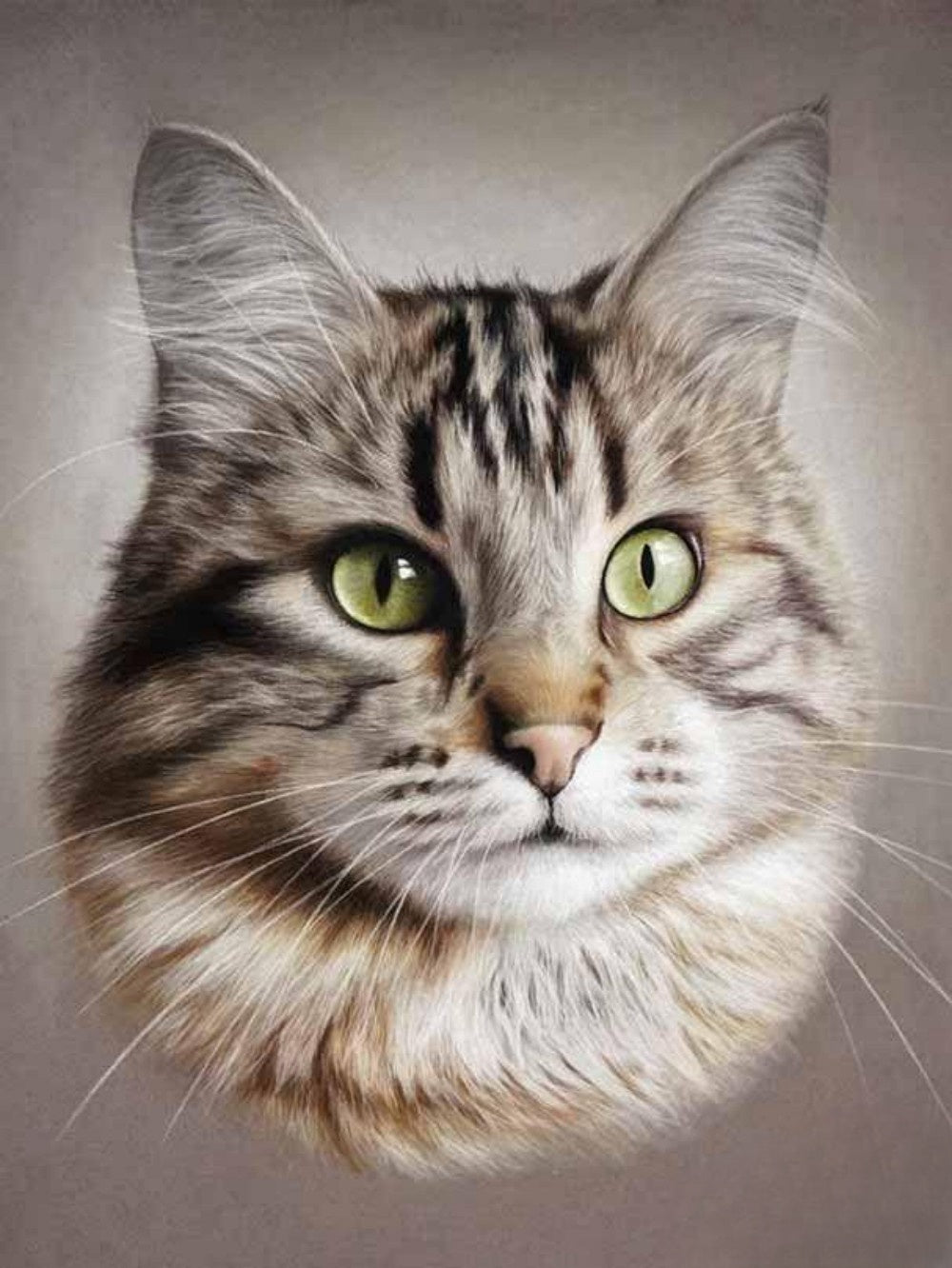 Tabby Cat | Diamond Painting