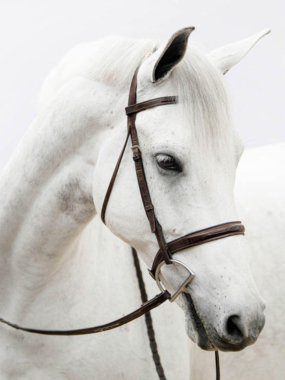 Horse | Diamond Painting