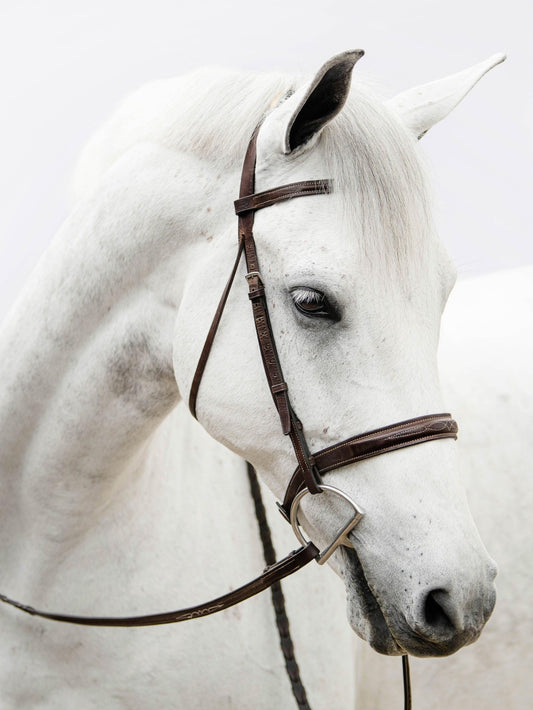 Horse | Diamond Painting