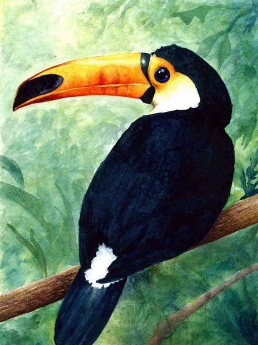 Toucan Bird | Diamond Painting