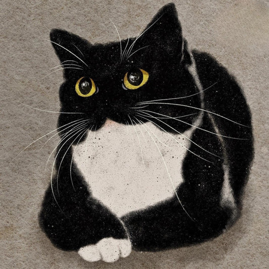 Tuxedo Cat  | Diamond Painting