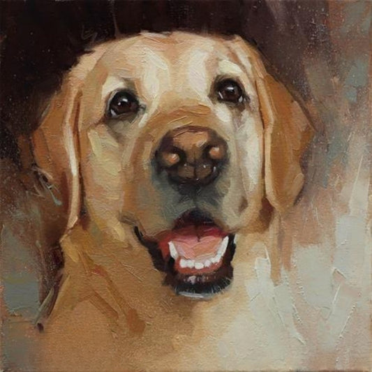 Yellow Labrador Dog | Diamond Painting