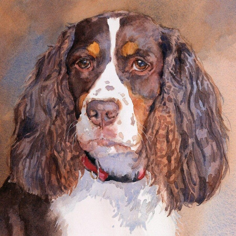 English Springer Spaniel Dog | Diamond Painting