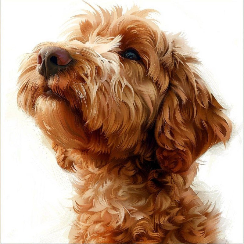 Labradoodle Dog | Diamond Painting