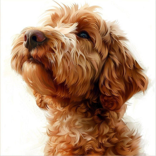 Labradoodle Dog | Diamond Painting