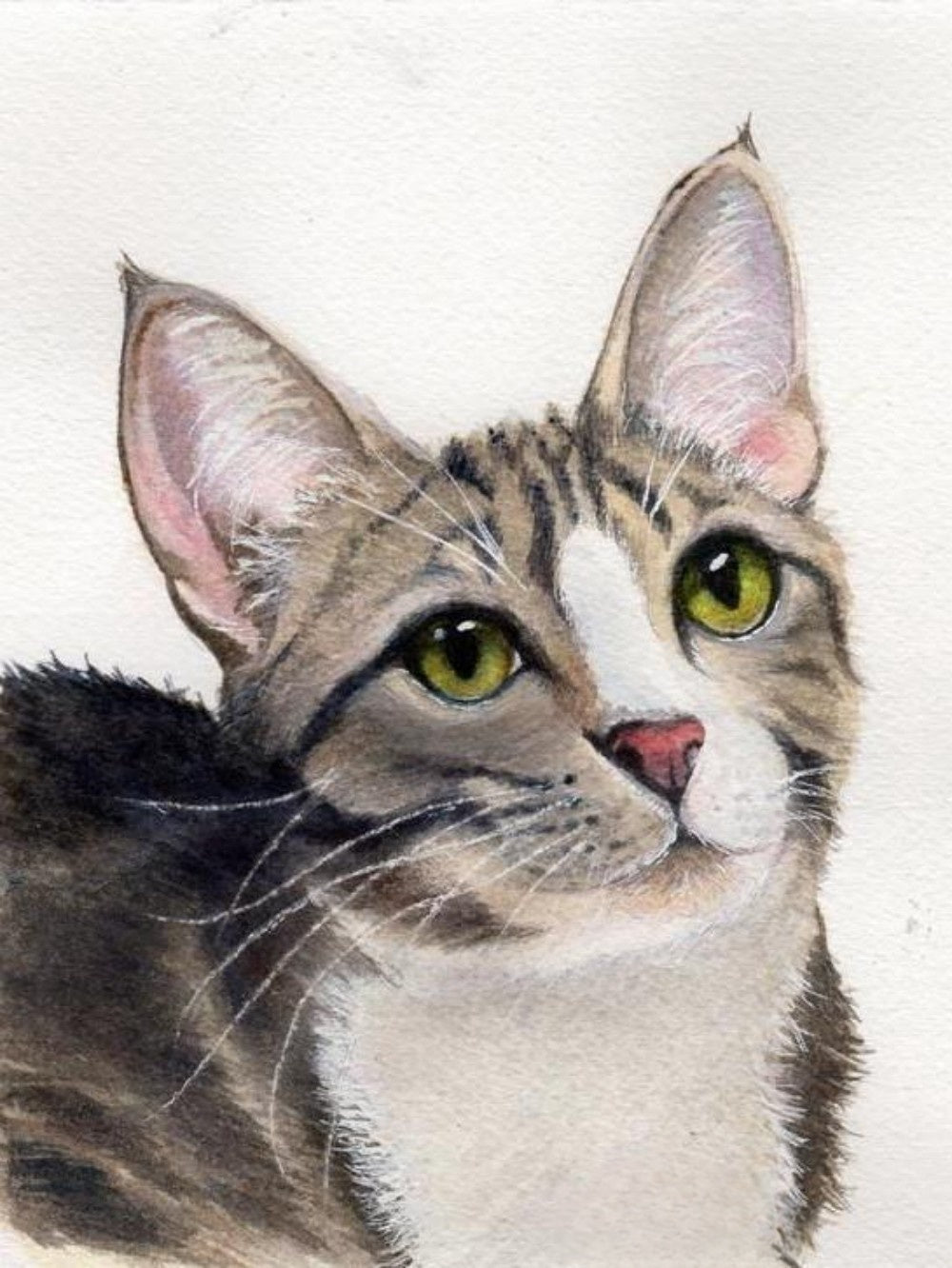 Tabby Cat | Diamond Painting