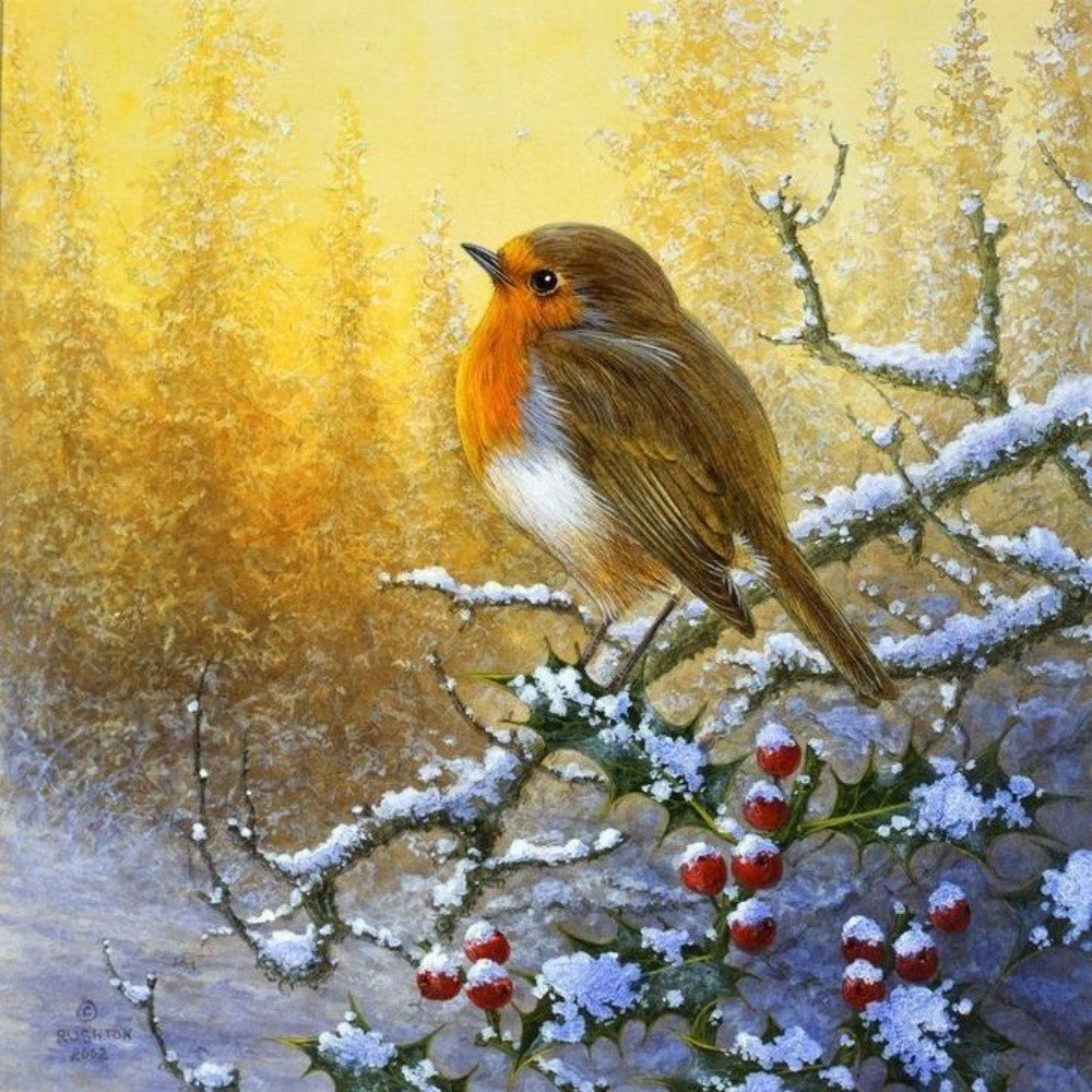 Robin Bird | Diamond Painting