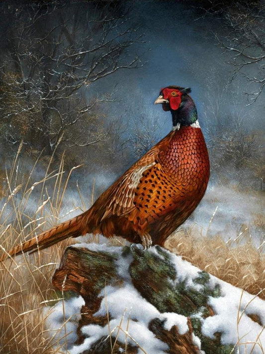 Pheasant | Diamond Painting