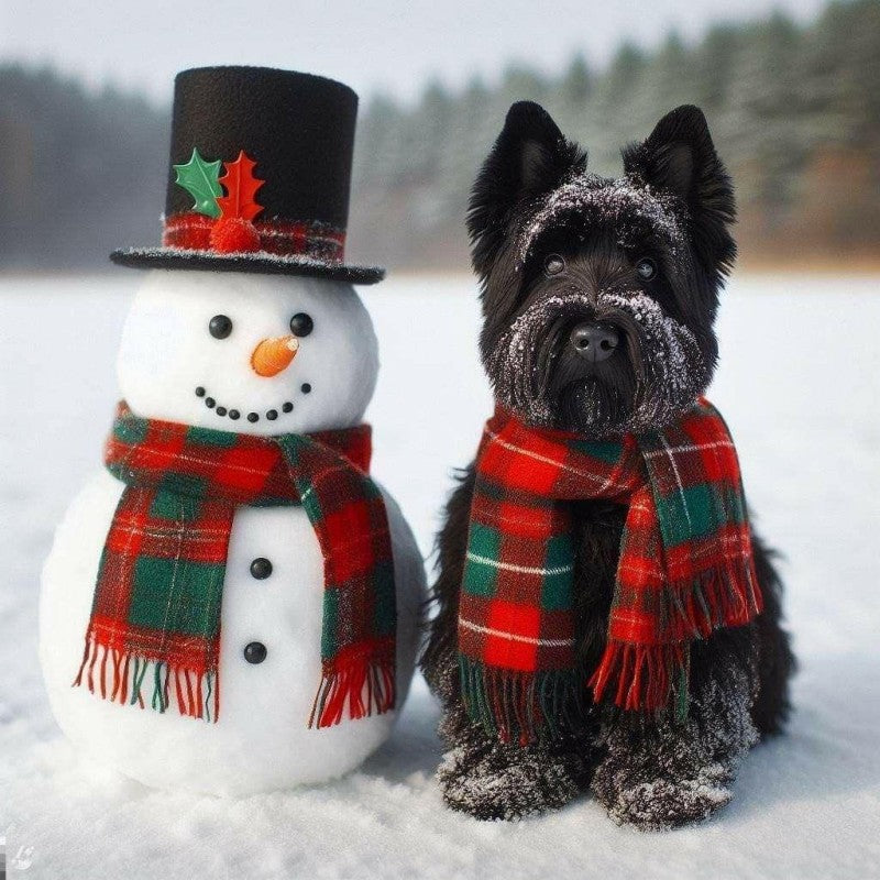 Dog Schnauzer | Diamond Painting