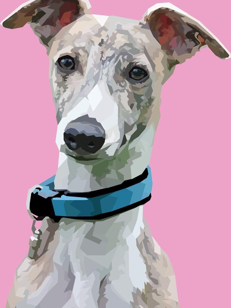 Greyhound Dog | Diamond Painting