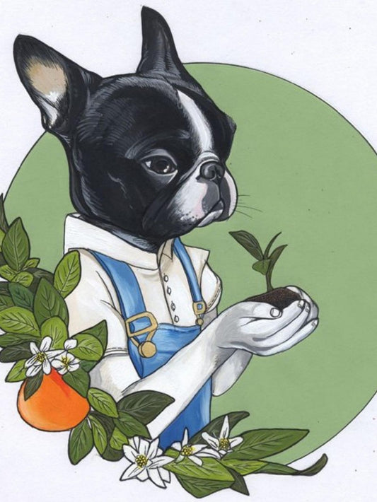 Boston Terrier Dog | Diamond Painting