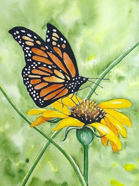 Butterfly | Diamond Painting