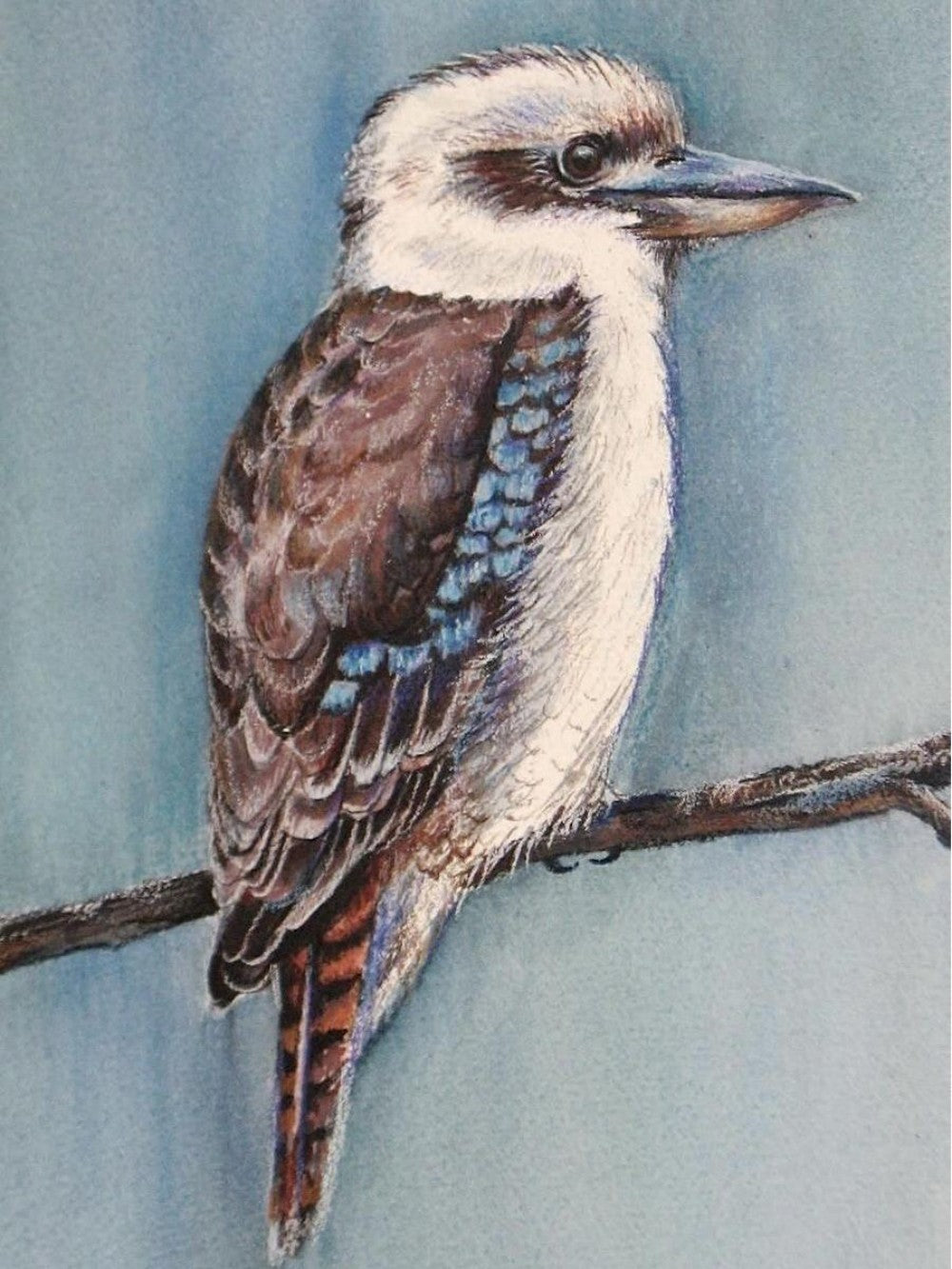 Kookaburra | Diamond Painting