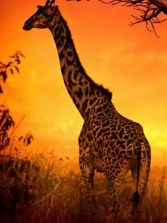 Giraffe | Diamond Painting