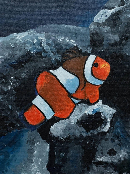 Clown Fish | Diamond Painting