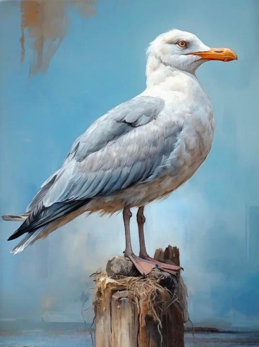 Gull | Diamond Painting