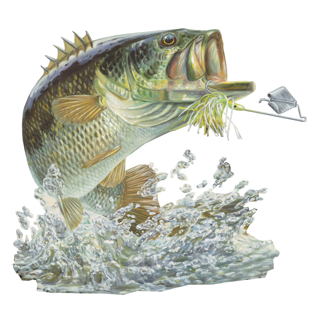 Bass Fish | Diamond Painting