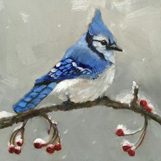 Blue Jay | Diamond Painting