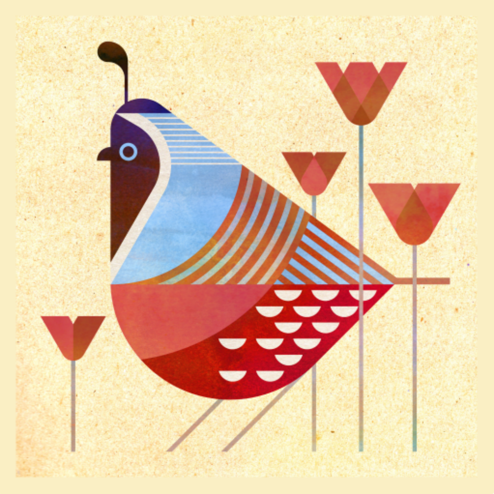 Quail | Diamond Painting