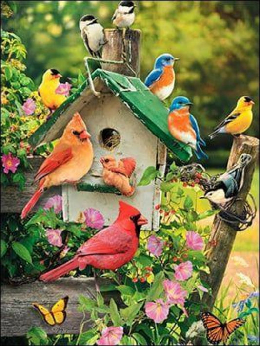 Bird House | Diamond Painting