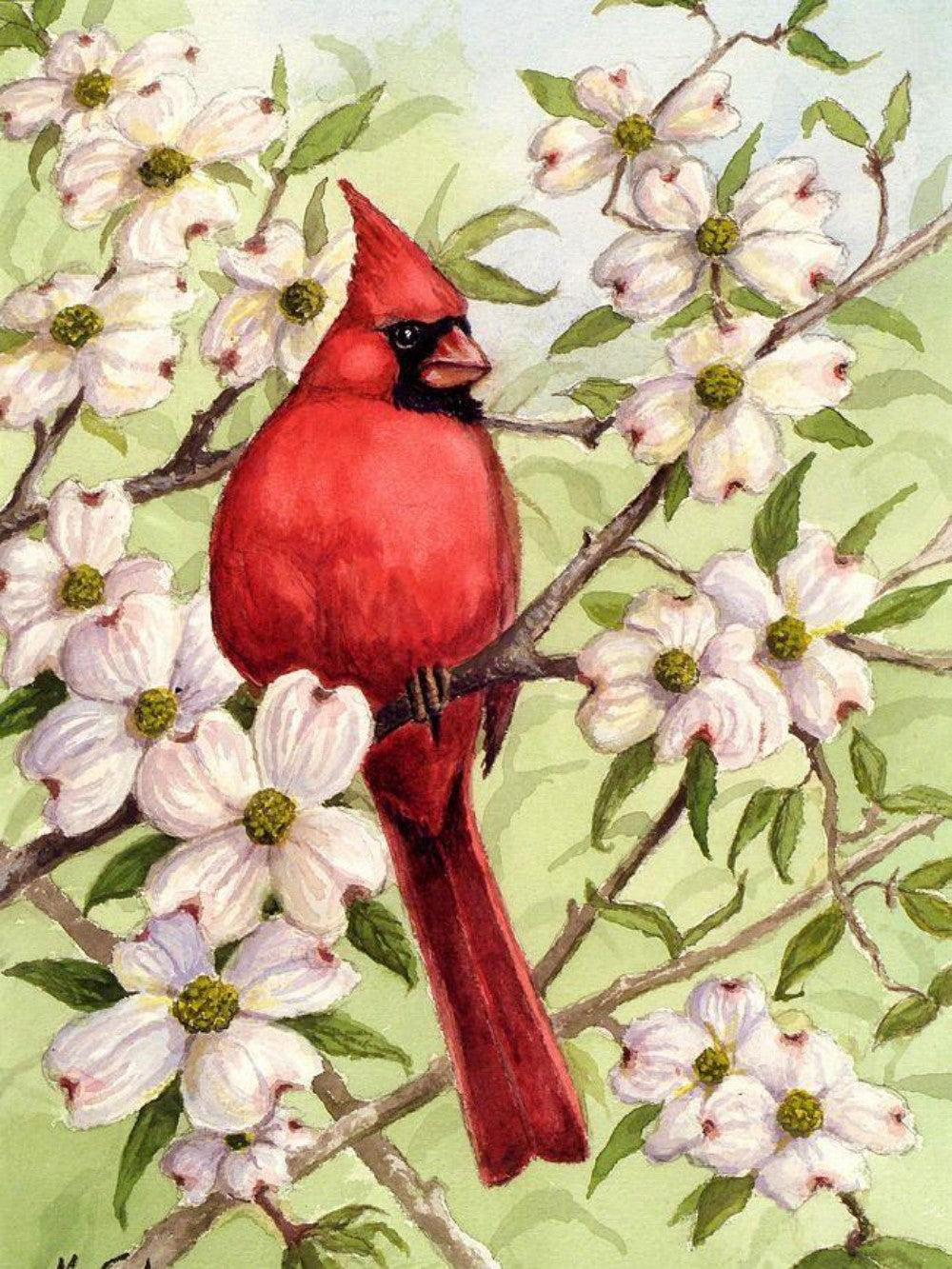 Cardinal | Diamond Painting