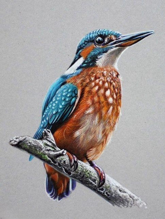 Kingfisher | Diamond Painting