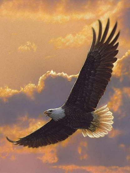 Eagle | Diamond Painting