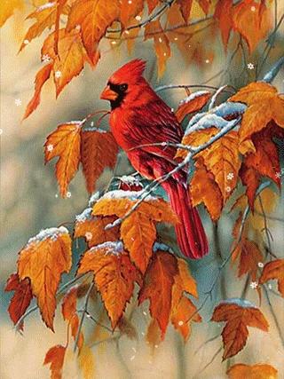 Cardinal | Diamond Painting