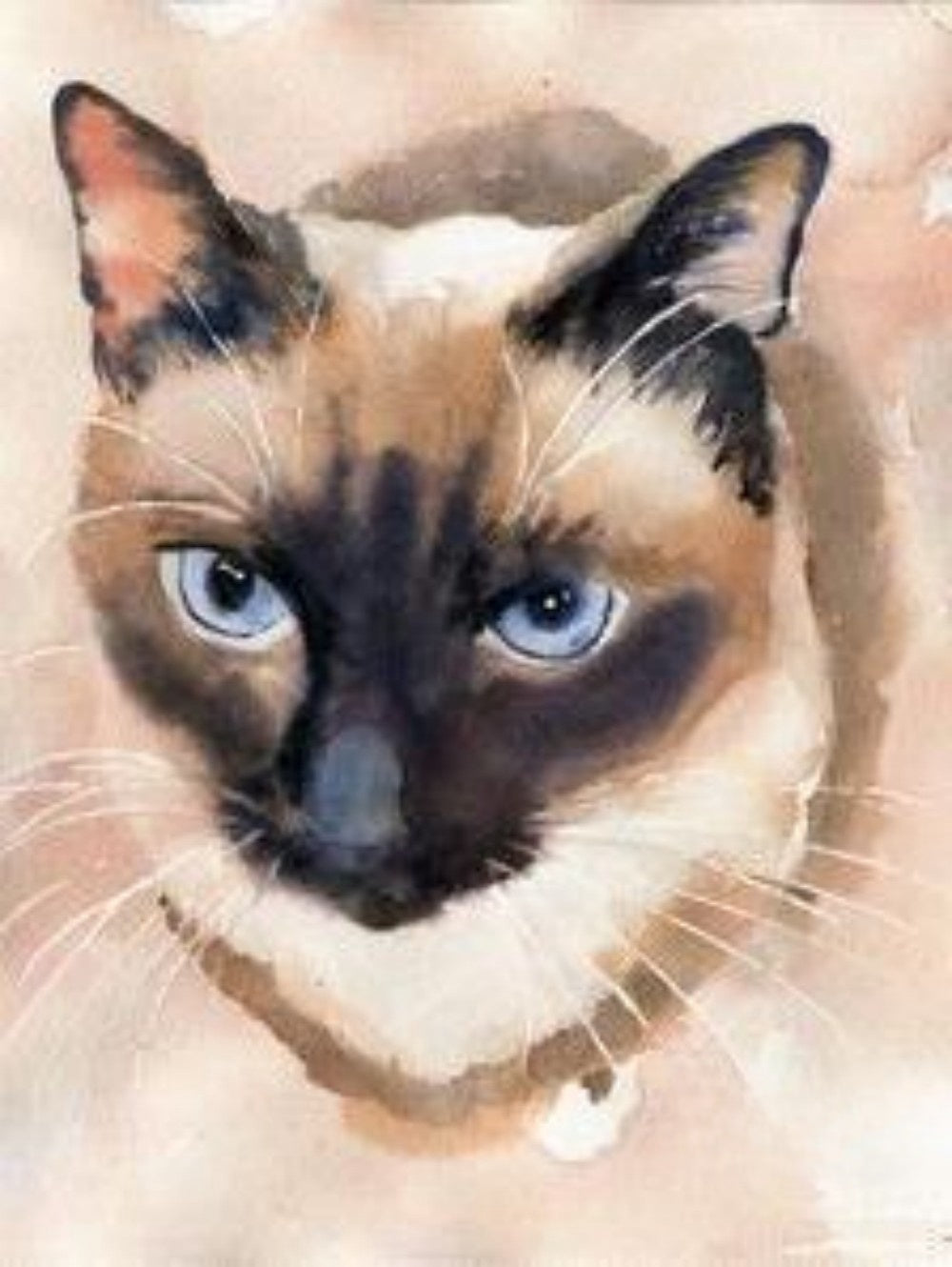Siamese Cat | Diamond Painting