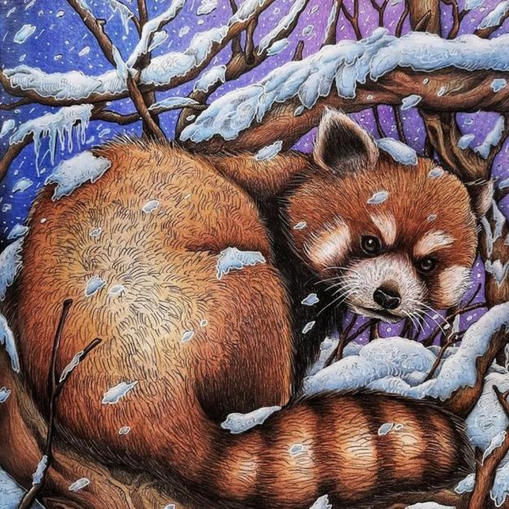 Red Panda | Diamond Painting
