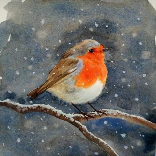 Robin Bird | Diamond Painting