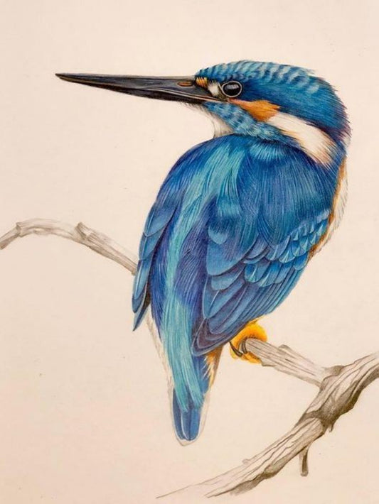 Kingfisher | Diamond Painting