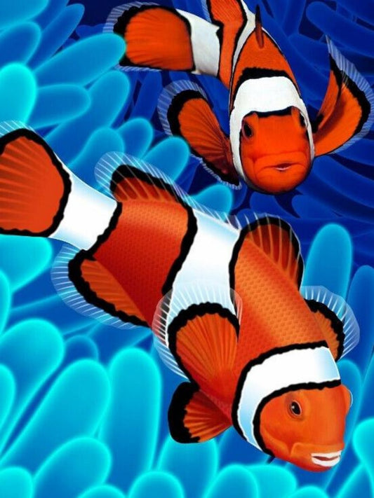 Clown Fish | Cross Stitch Embroidery