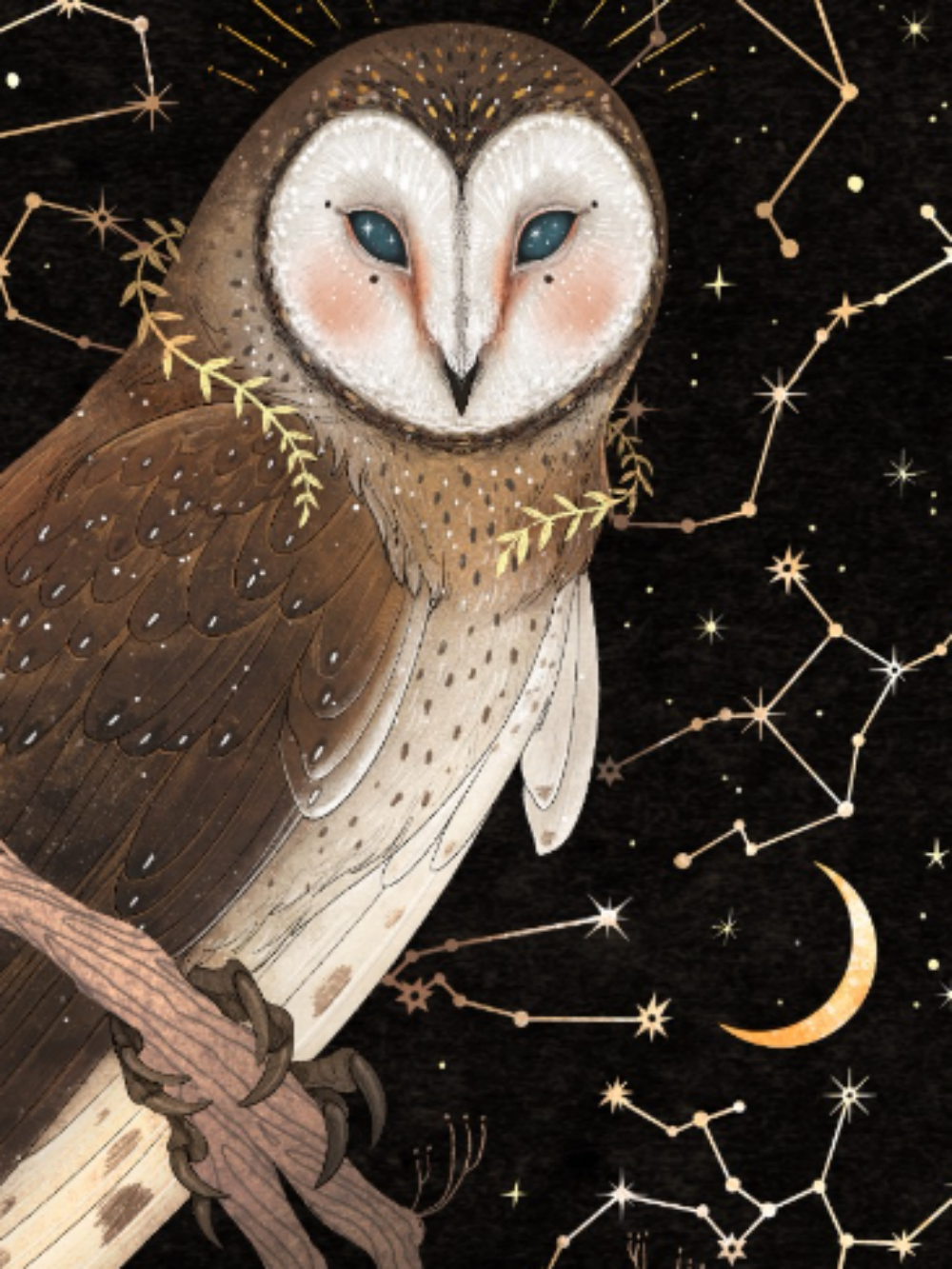 Barn Owl | Diamond Painting