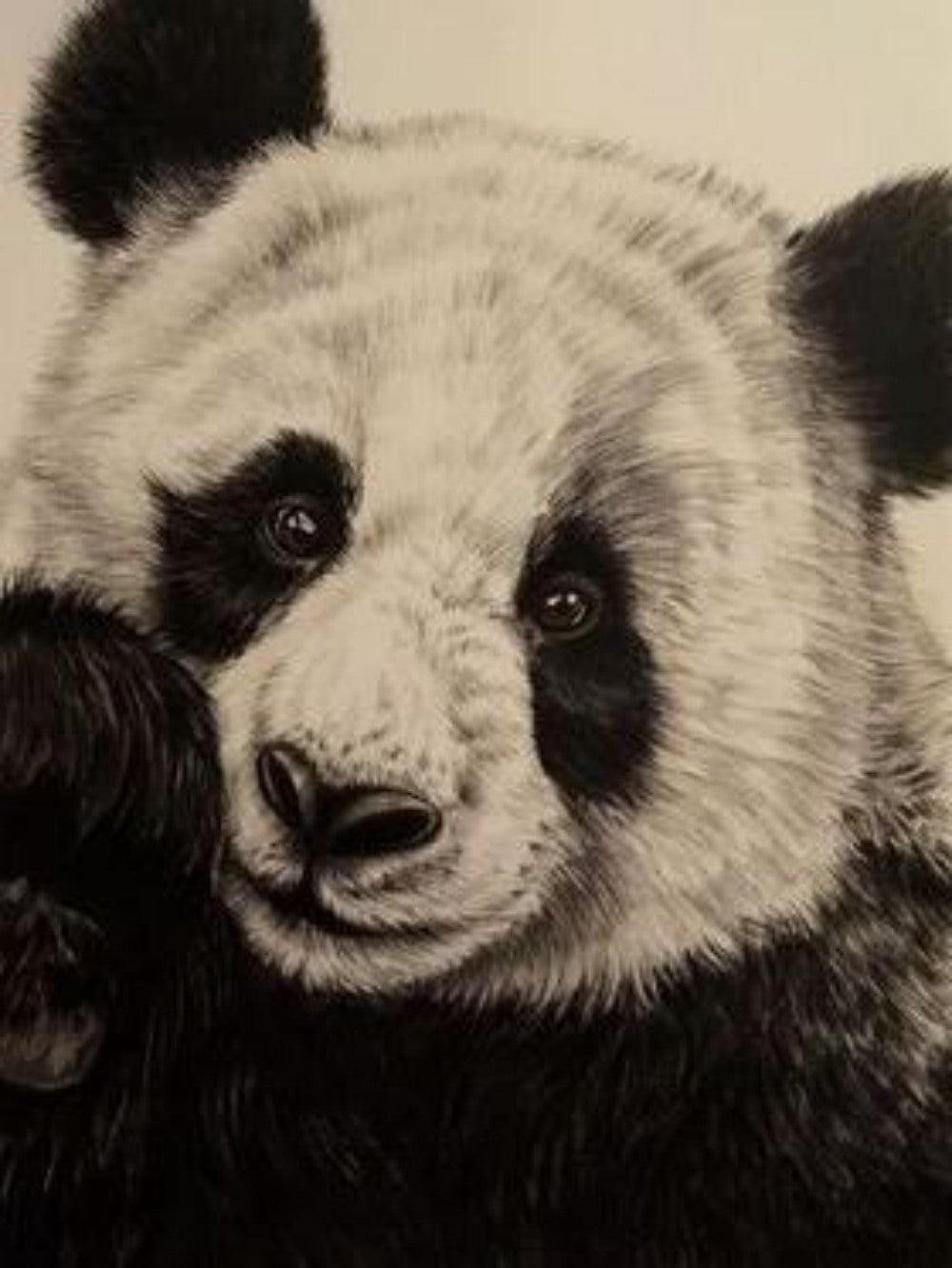 Panda | Diamond Painting