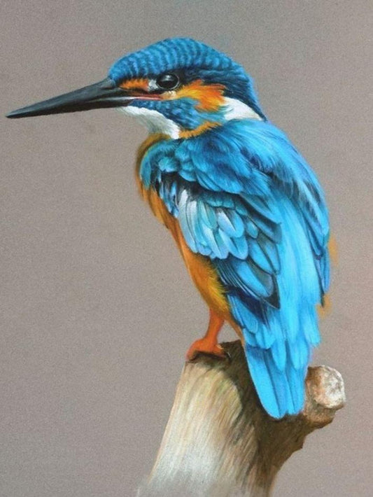 Kingfisher | Diamond Painting